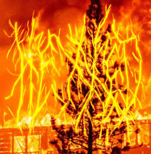 Hexxed Corp. (Record Label)